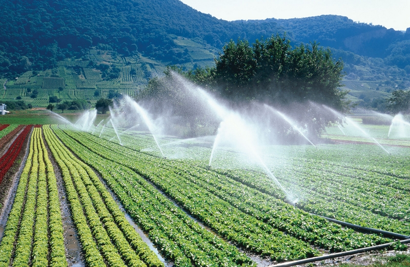 El Agua en los Procesos Productivos y en el Riego
